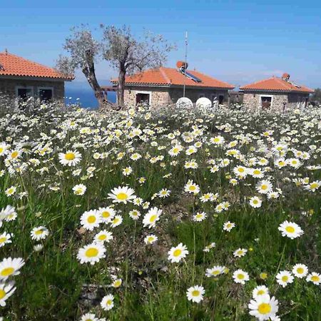 Villa Ktima Kiourelioti Skala Sykamineas Exterior foto