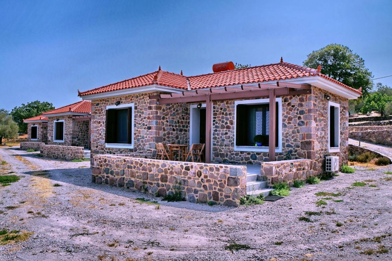 Villa Ktima Kiourelioti Skala Sykamineas Exterior foto